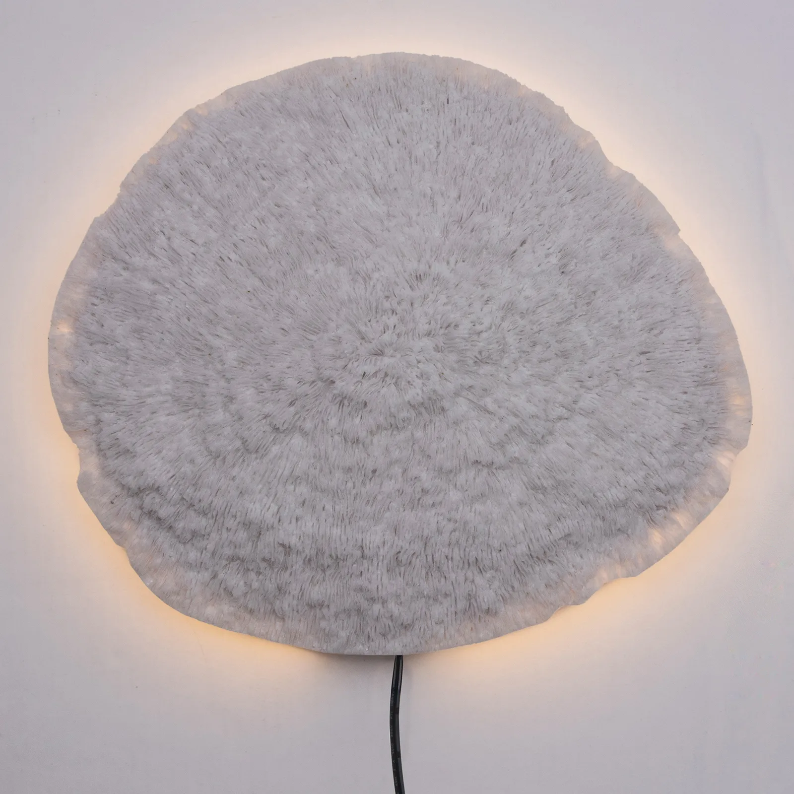 Nemo Wandleuchte weiß, 36cm Globen Lighting