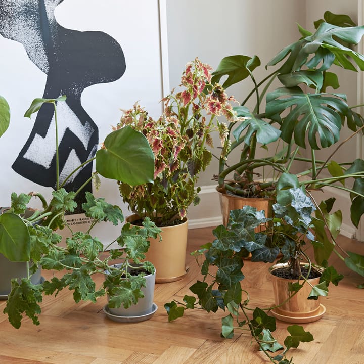 Botanical Family Blumentopf, Dusty green, xl, ø22 cm HAY