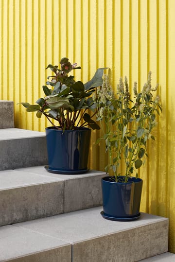 Botanical Family Blumentopf XL Ø22cm - Dark blue - HAY