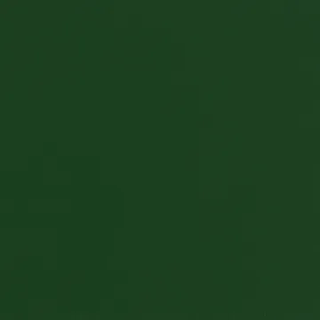 Chisel Lounge Chair - Lush green lackierte Buche - HAY