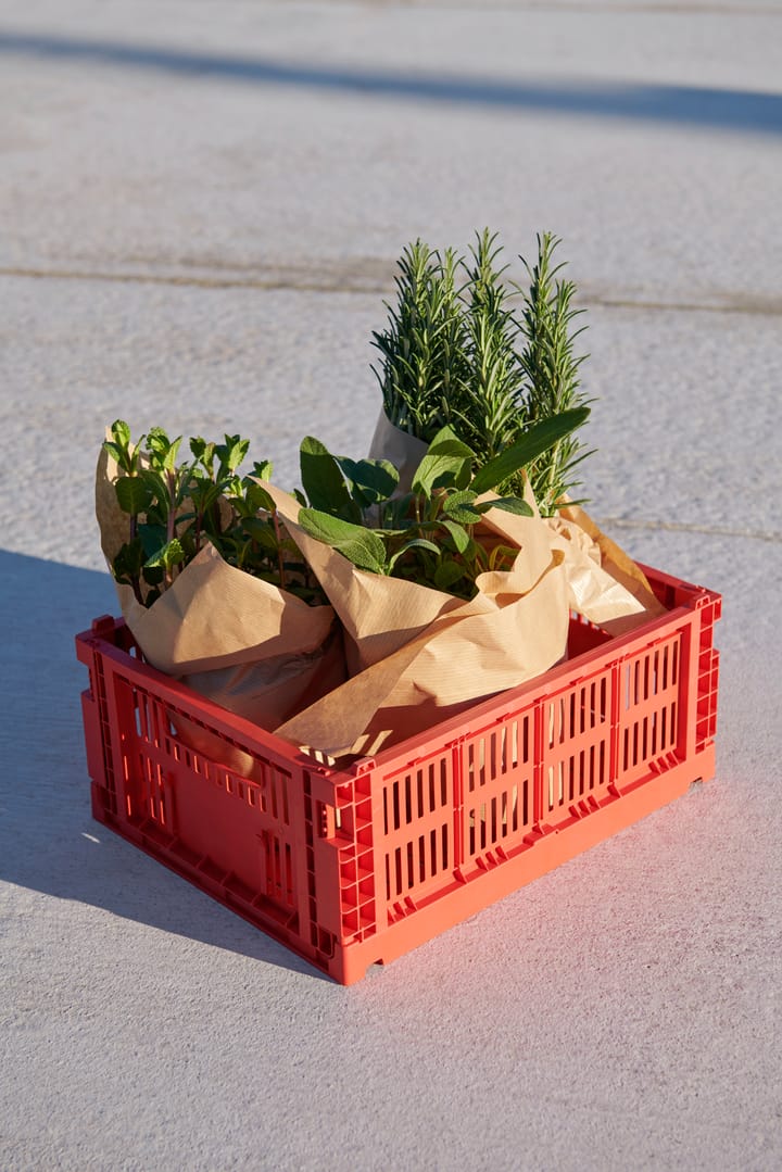 Colour Crate M 26,5 x 34,5cm - Red - HAY