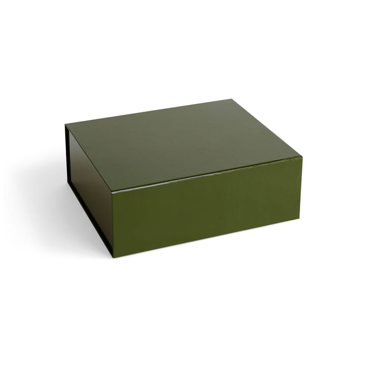 Colour Storage M Box mit Deckel 29,5 x 35cm - Olive - HAY