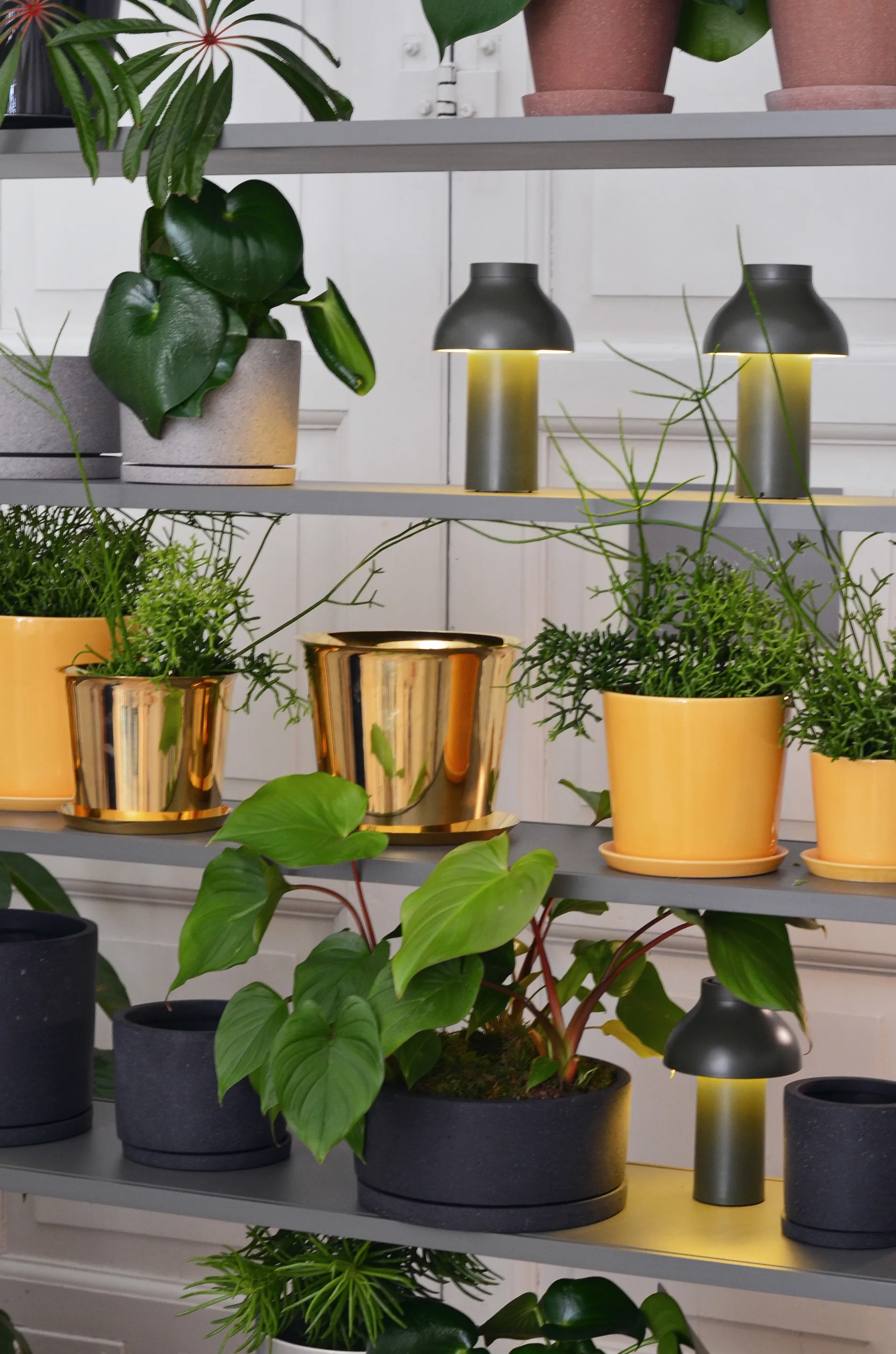 PC Portable Tischleuchte, Olive HAY