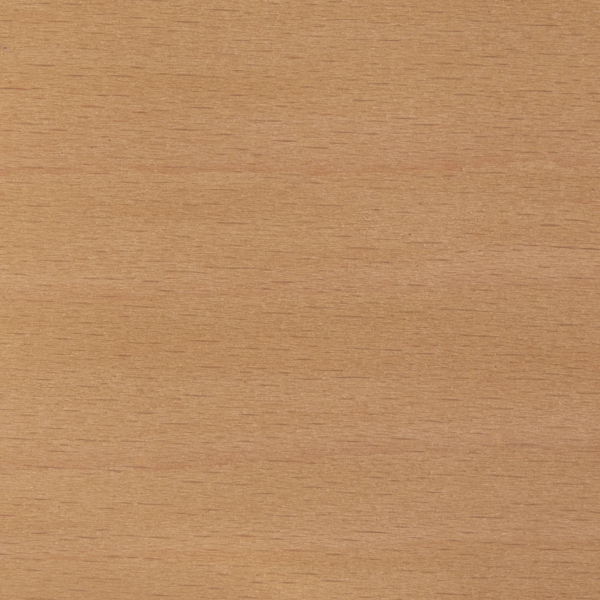 Rey Low Barhocker lackiert 65 cm, Golden HAY