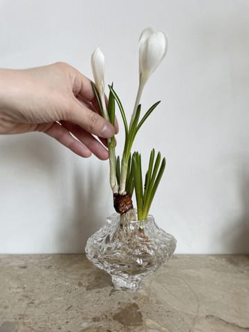 Canyon Mini Vase 8 cm - Clear - Hein Studio