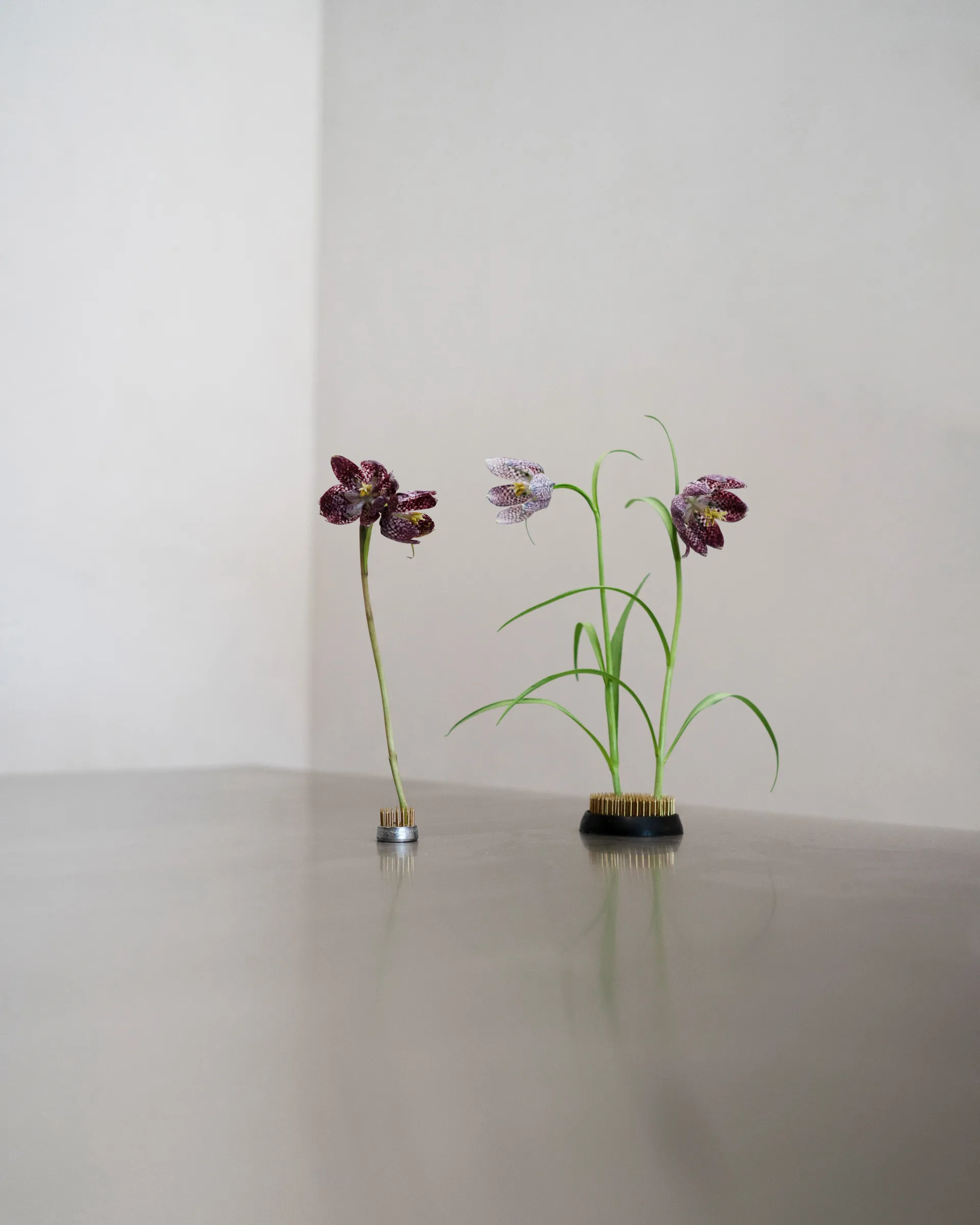 Kenzan Blumenigel, Ø6 cm Hein Studio