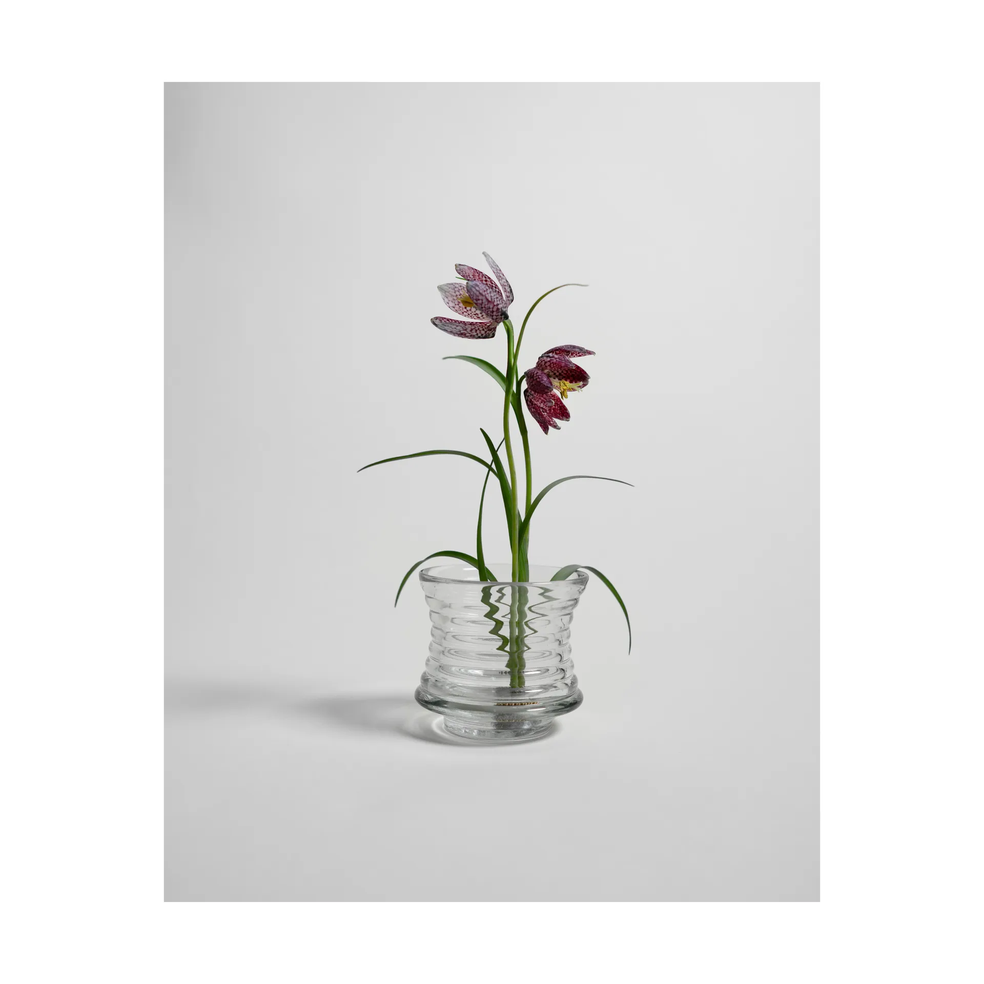 Kenzan Blumenigel, Ø6 cm Hein Studio