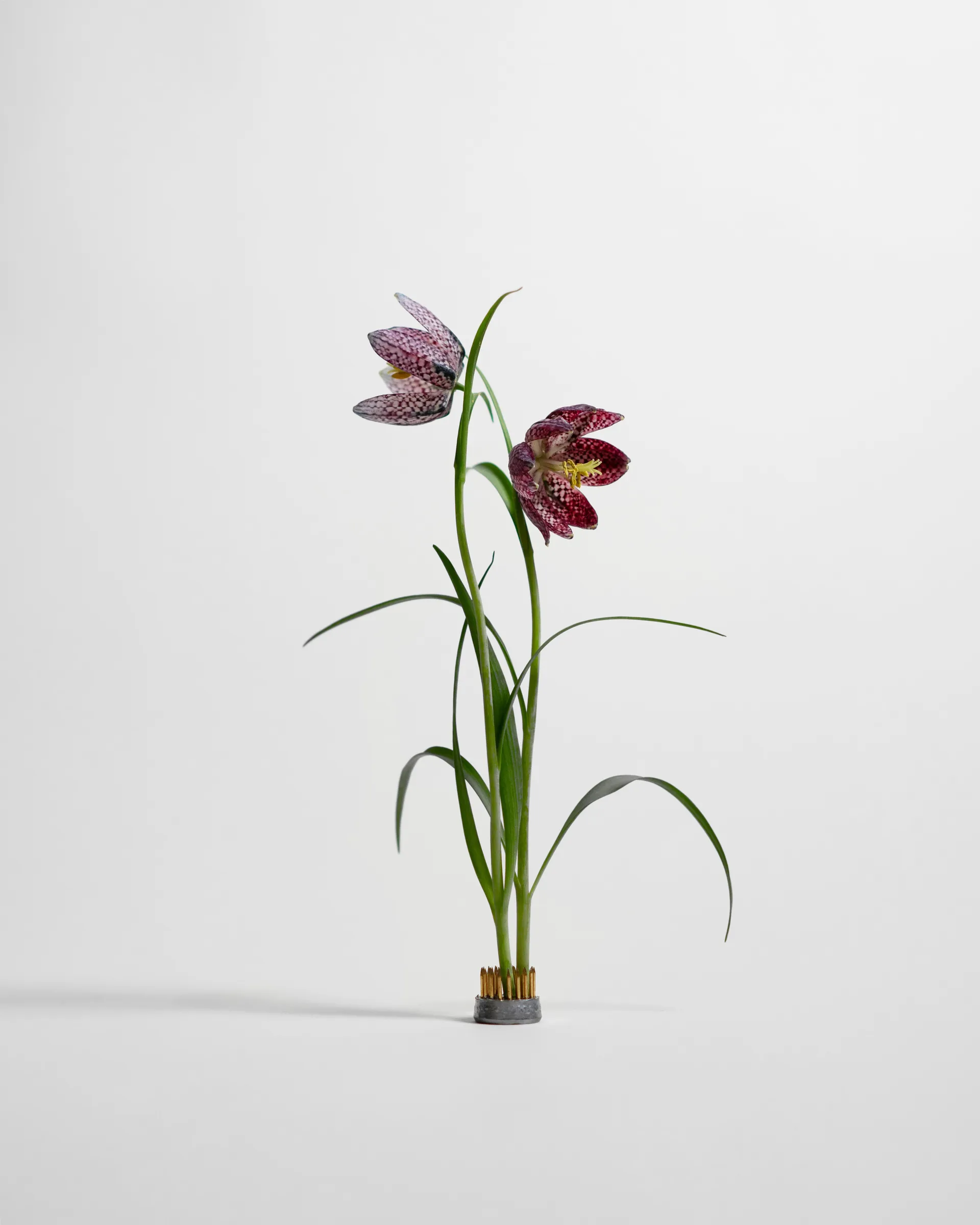 Kenzan Vase, Ø2,3 cm Hein Studio