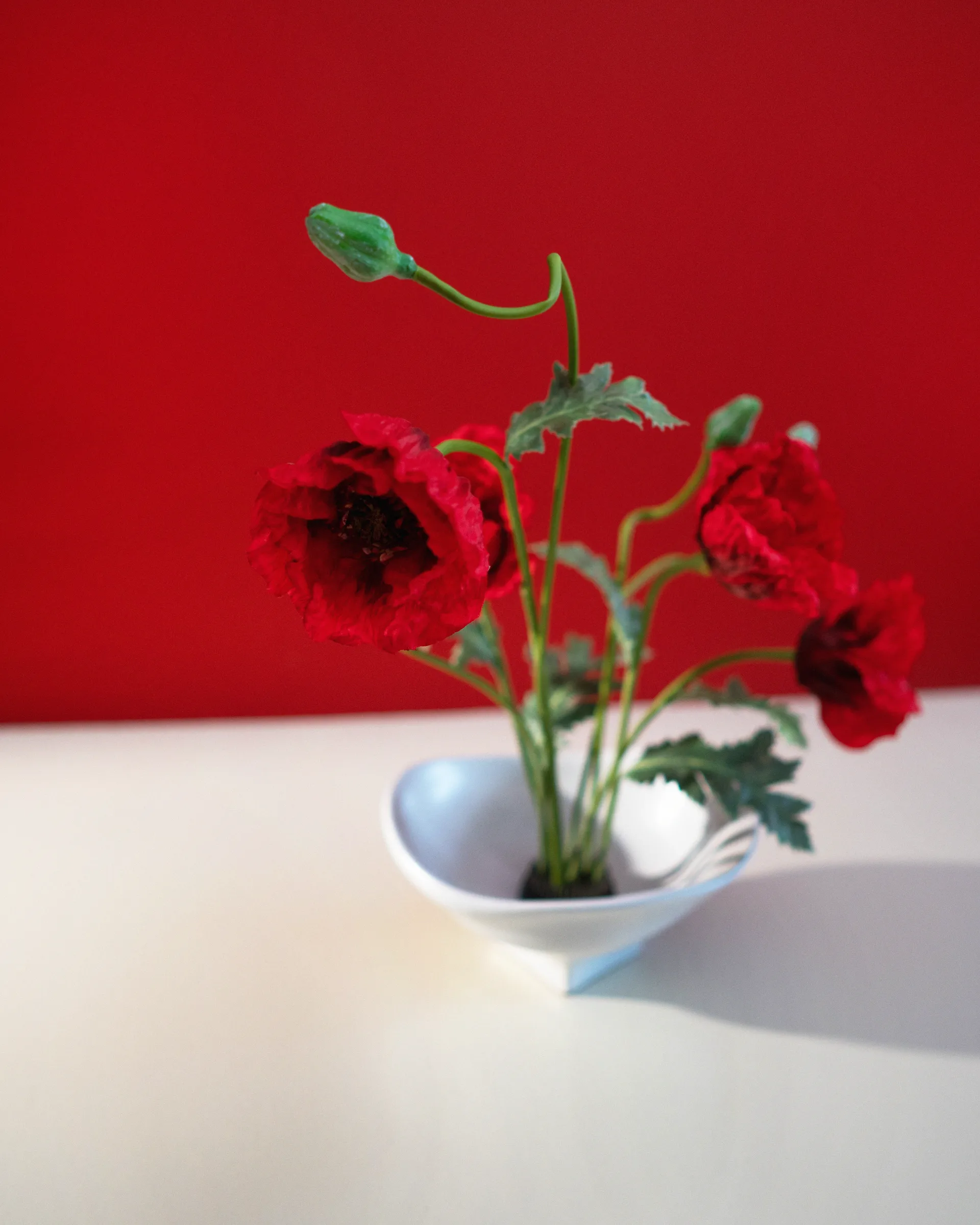 Nami Schale groß 20x23 cm, White Hein Studio