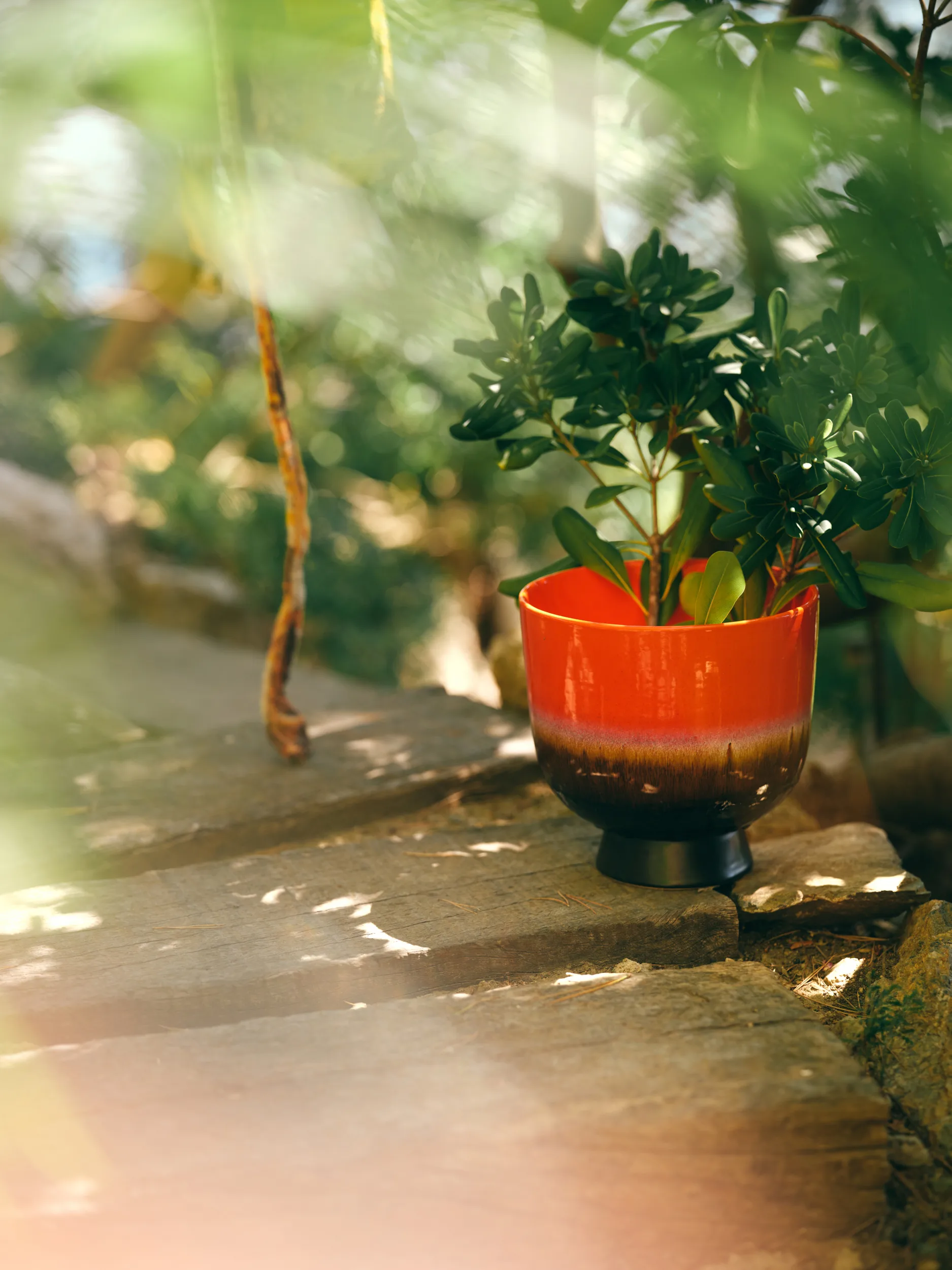 Retro Blumentopf Ø20,5 cm, Cherry red HKliving