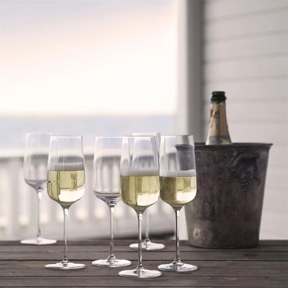 Bouquet Champagnerglas 6er Pack 29cl,  Holmegaard