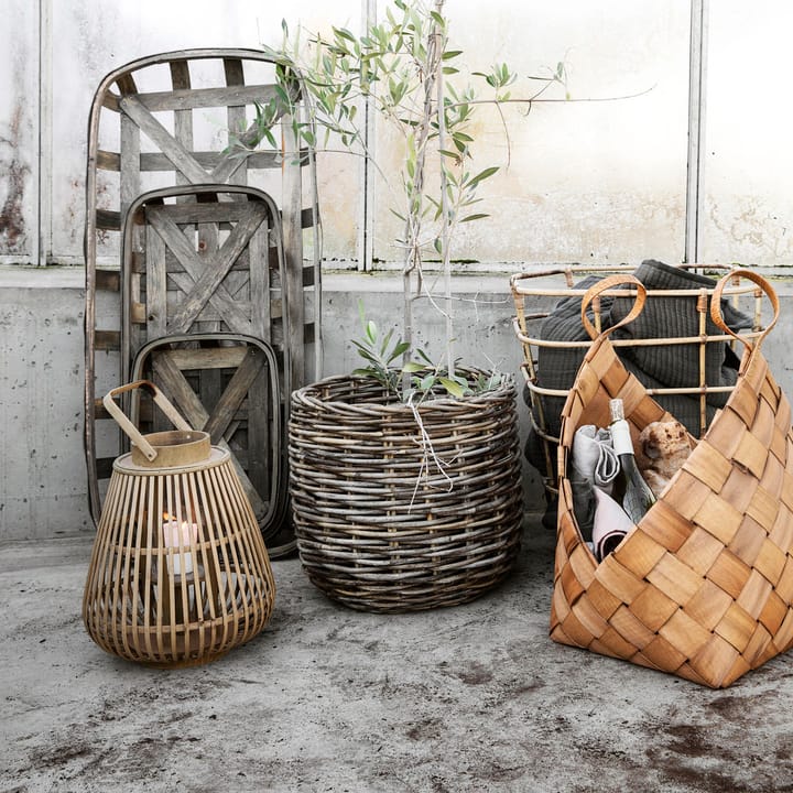Balu Laterne, Bamboo House Doctor