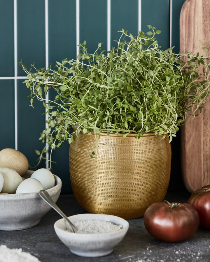 Spot Blumentopf 2-teilig, Gold House Doctor