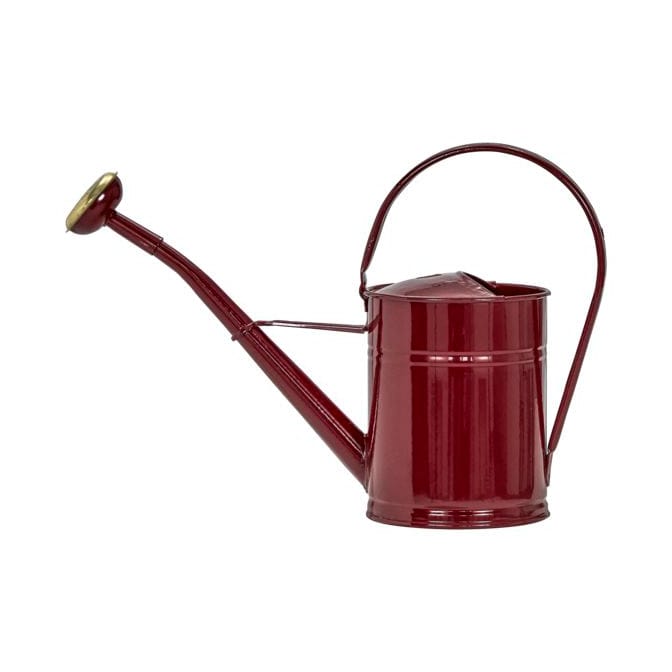 Wan Gießkanne 2 l, Bordeaux House Doctor