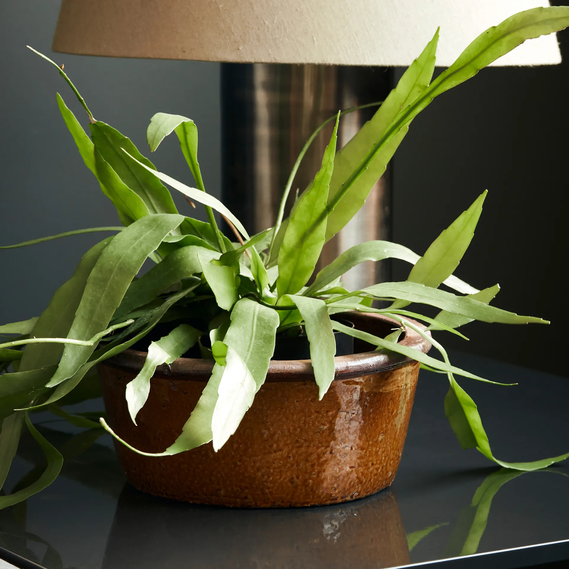 Whai Blumentopf Ø30cm, Senfgelb House Doctor