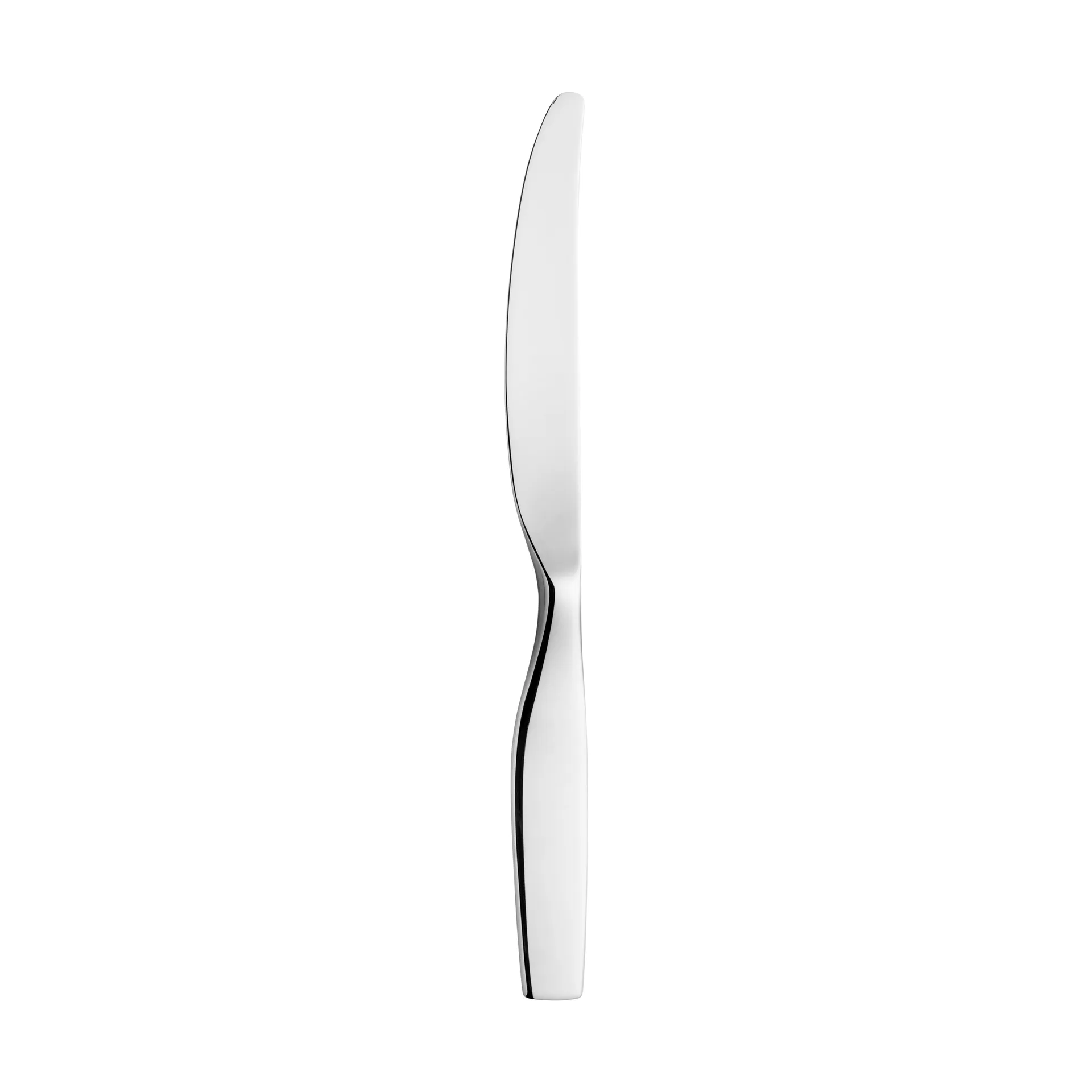 Citterio 98 Messer, Blank Iittala