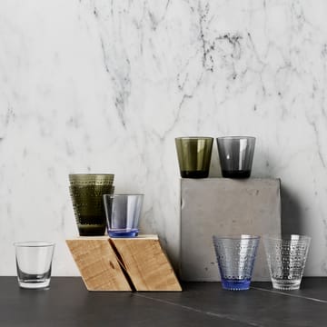 Kartio Trinkgläser 21cl 2er Pack - Dunkelgrau - Iittala