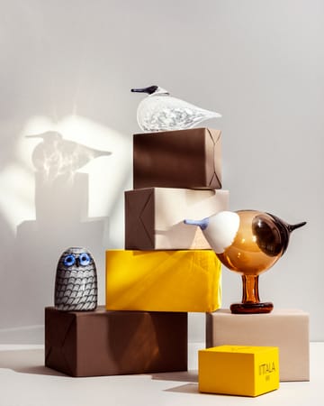 Kustskata 250x175 mm Vögel von Toikka - Bitterorange - Iittala