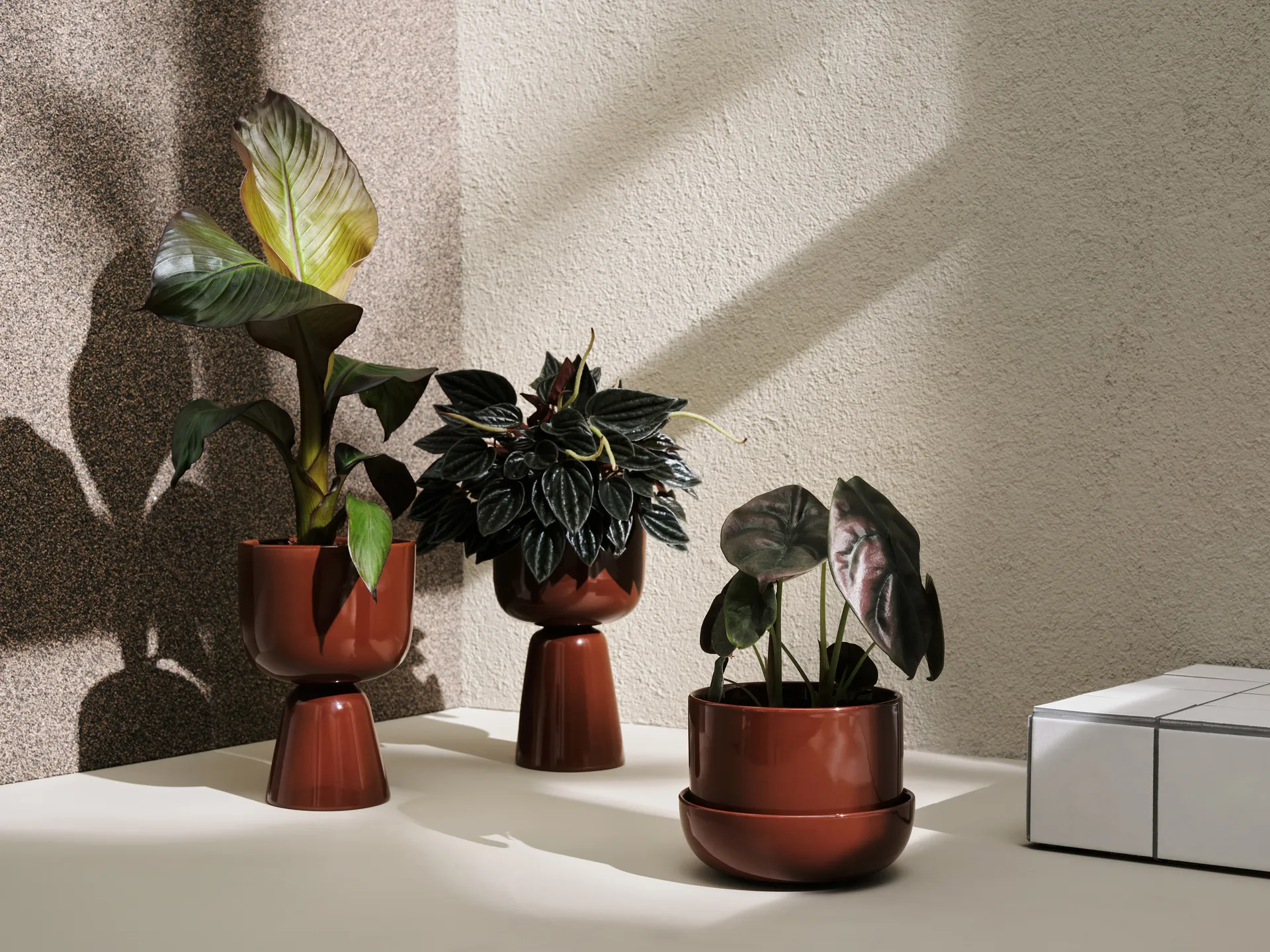 Nappula Blumentopf Ø15.5 cm h23 cm, Braun Iittala