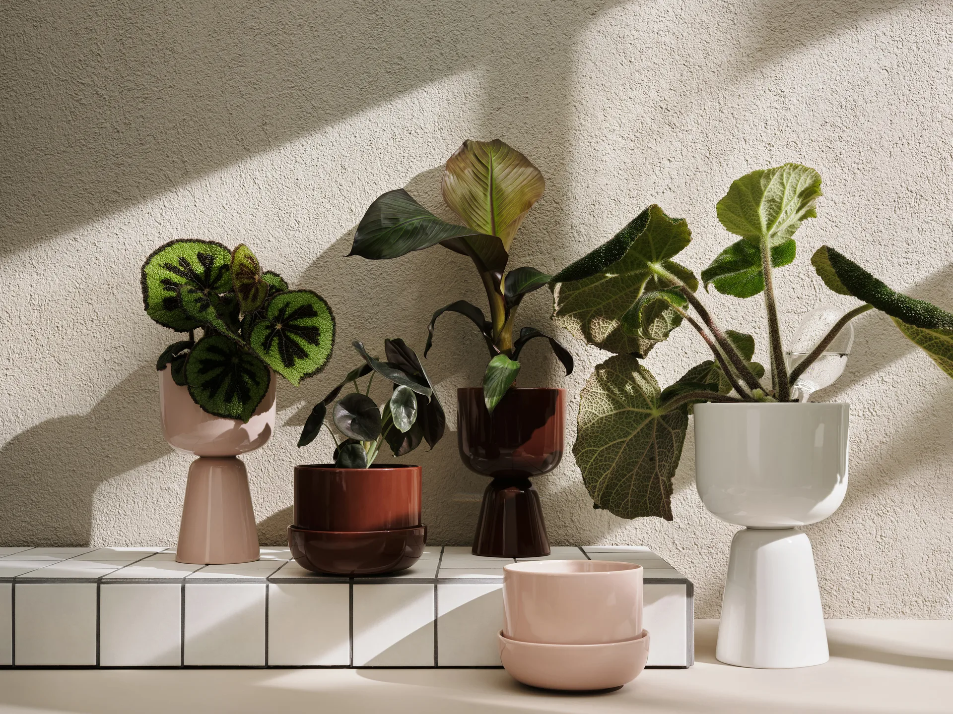 Nappula Blumentopf Ø15.5 cm h23 cm, Braun Iittala