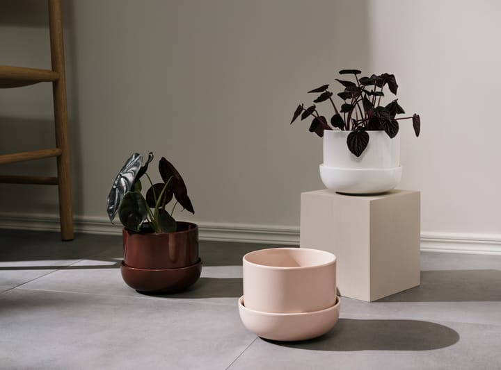 Nappula Blumentopf mit Untersetzer Ø17 cm h13 cm, Braun Iittala