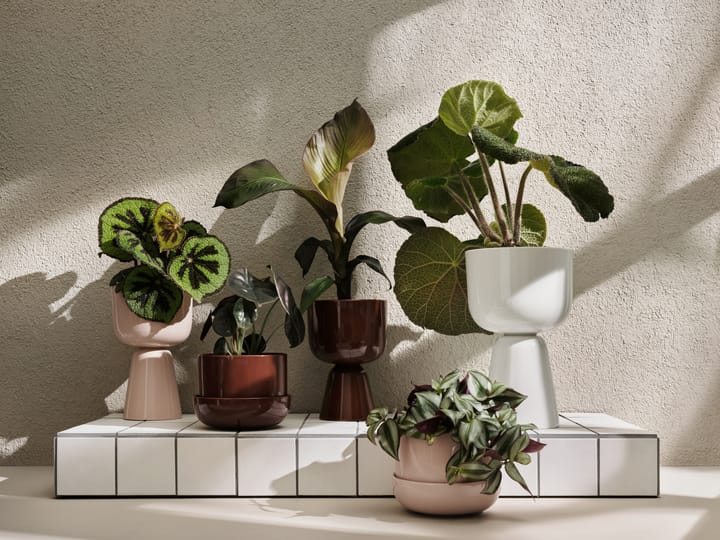 Nappula Blumentopf mit Untersetzer Ø17 cm h13 cm, Braun Iittala