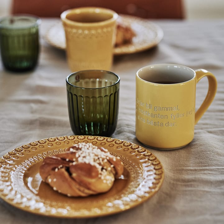 Raami Wasserglas 26 cl 2er-Pack, Moosgrün Iittala