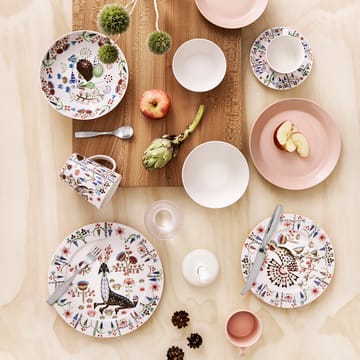 Taika Siimes kleiner Teller 22cm - Weiß - Iittala