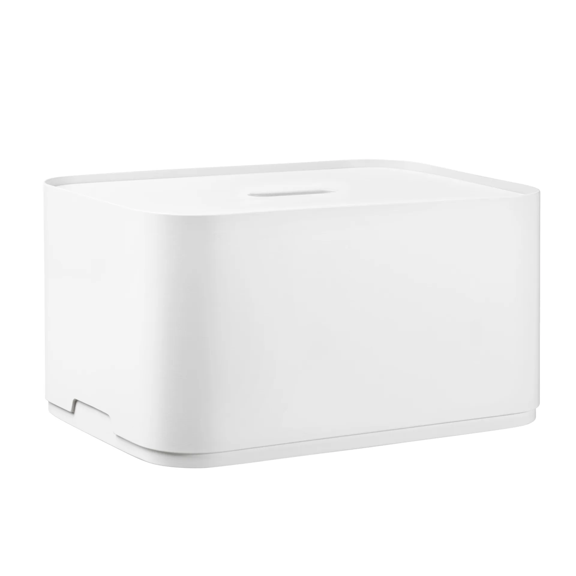 Vakka Verwahrungsbox groß, Birkenfurnier weiß lackiert Iittala