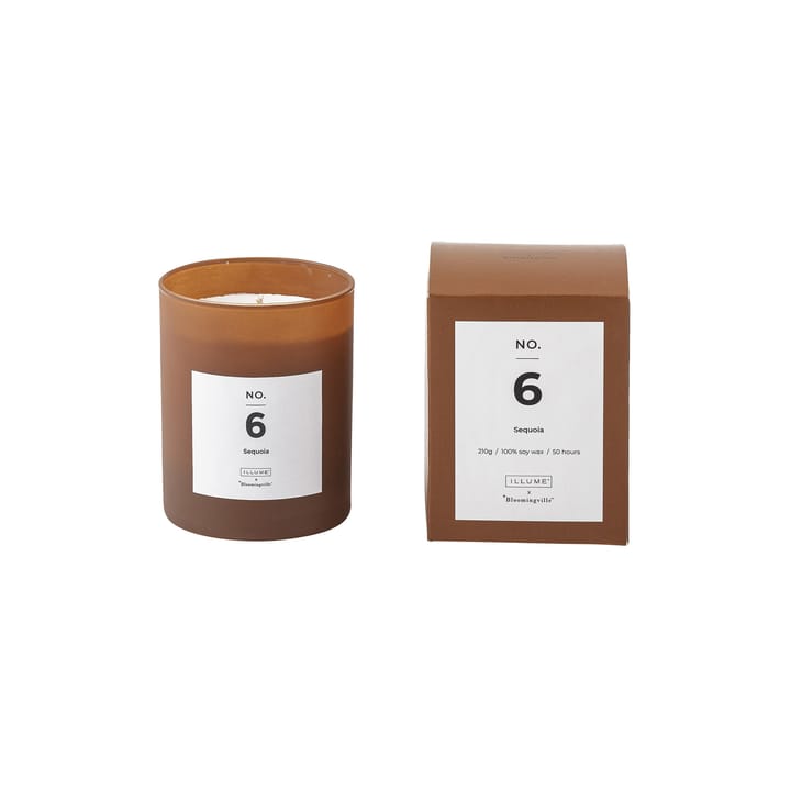 NO. 6 Sequoia Duftkerze - 200 g + Giftbox - Illume x Bloomingville