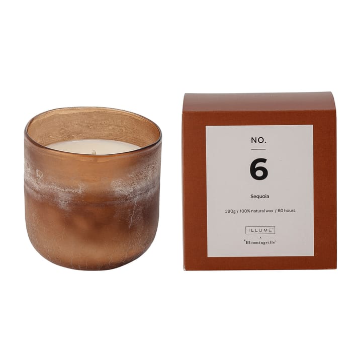 NO. 6 Sequoia Duftkerze - 390 g + Giftbox - Illume x Bloomingville