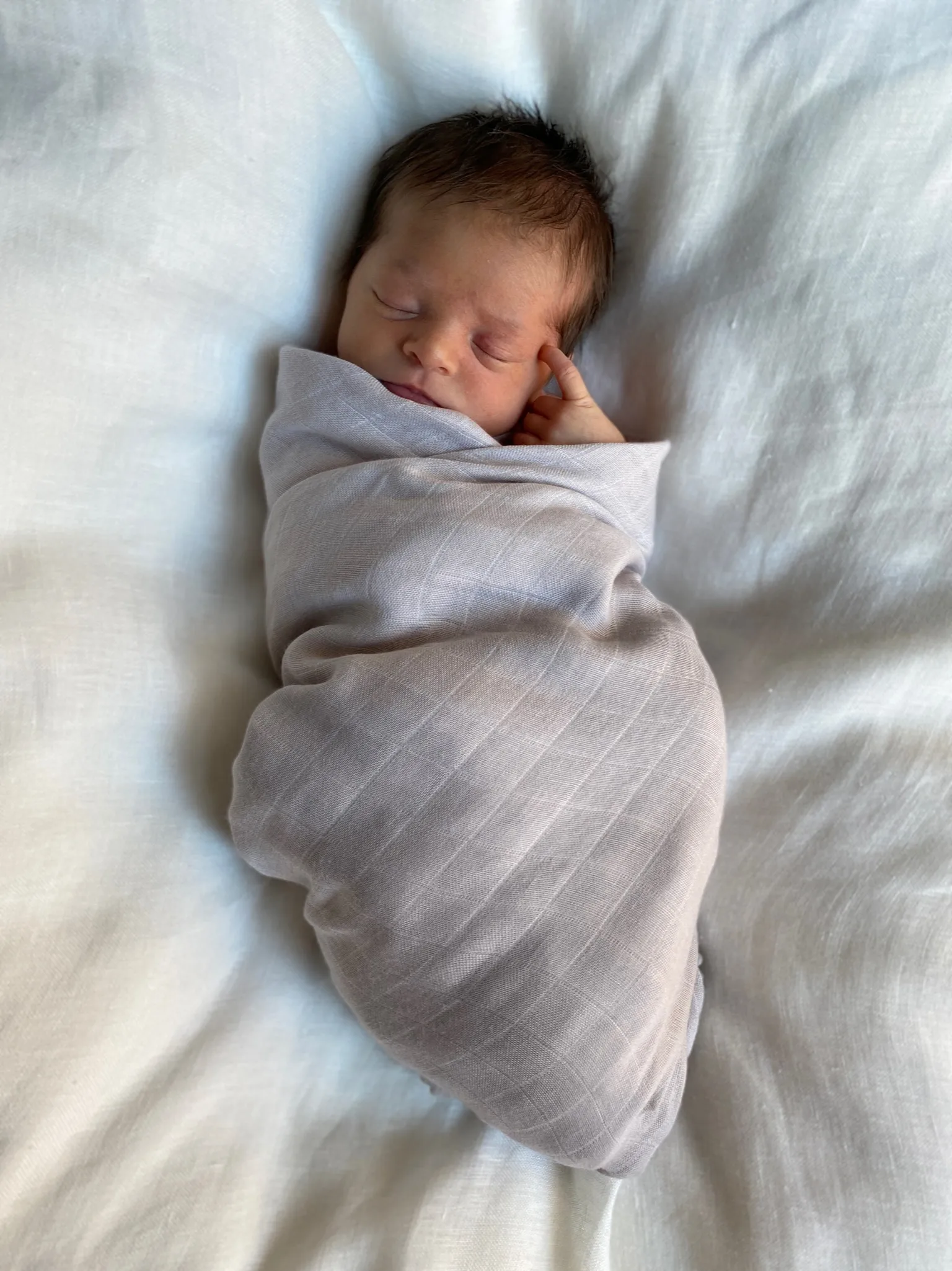 Pom Pom Musselintuch 120x120 cm 2er-Pack, Pearl & Dusty gray Jack o Juno