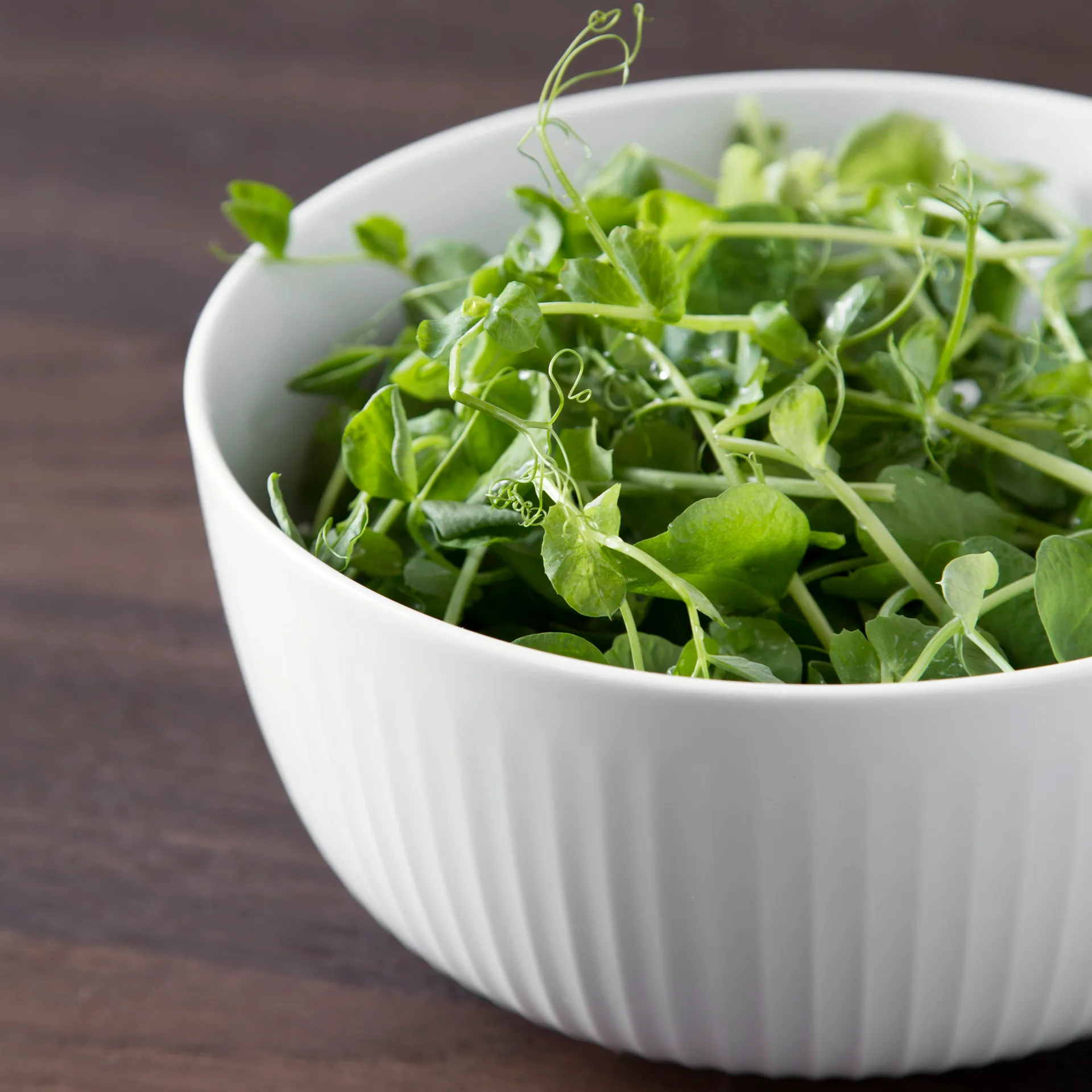 Hammershøi Schale Ø21cm, Weiß Kähler