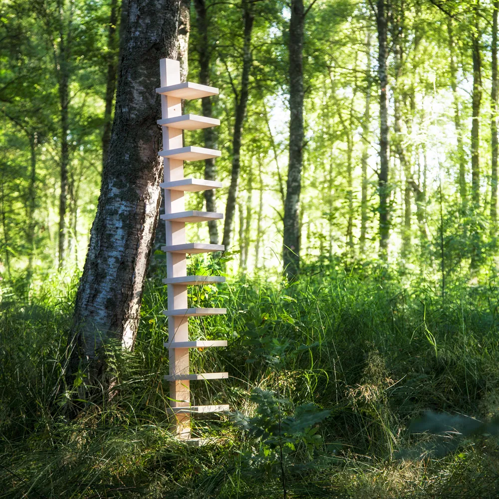 Pilaster Wandregal, Naturlackierte Birke Källemo