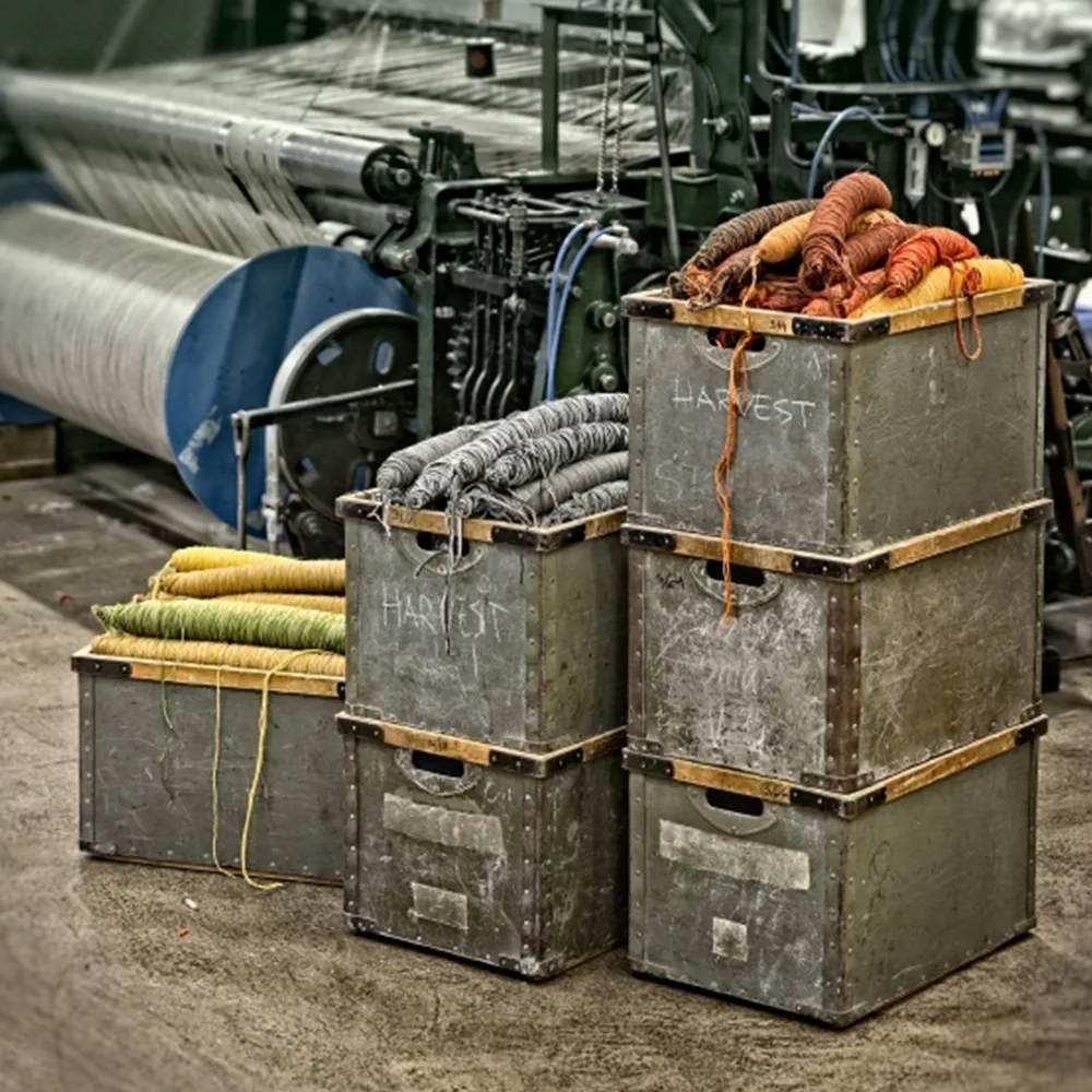 Harvest Teppich, Beige-braun 300 x 200cm Kasthall