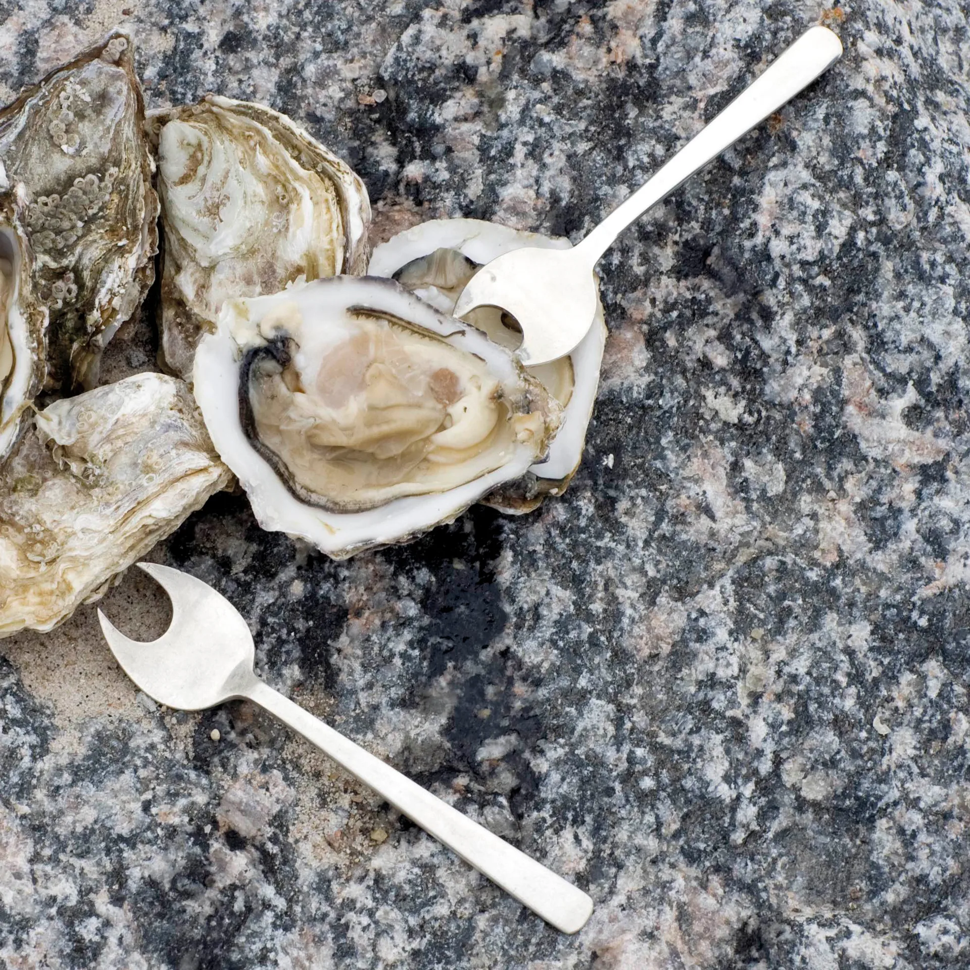 Grand Prix Besteck für Meeresfrüchte 8-teilig, Polished steel Kay Bojesen