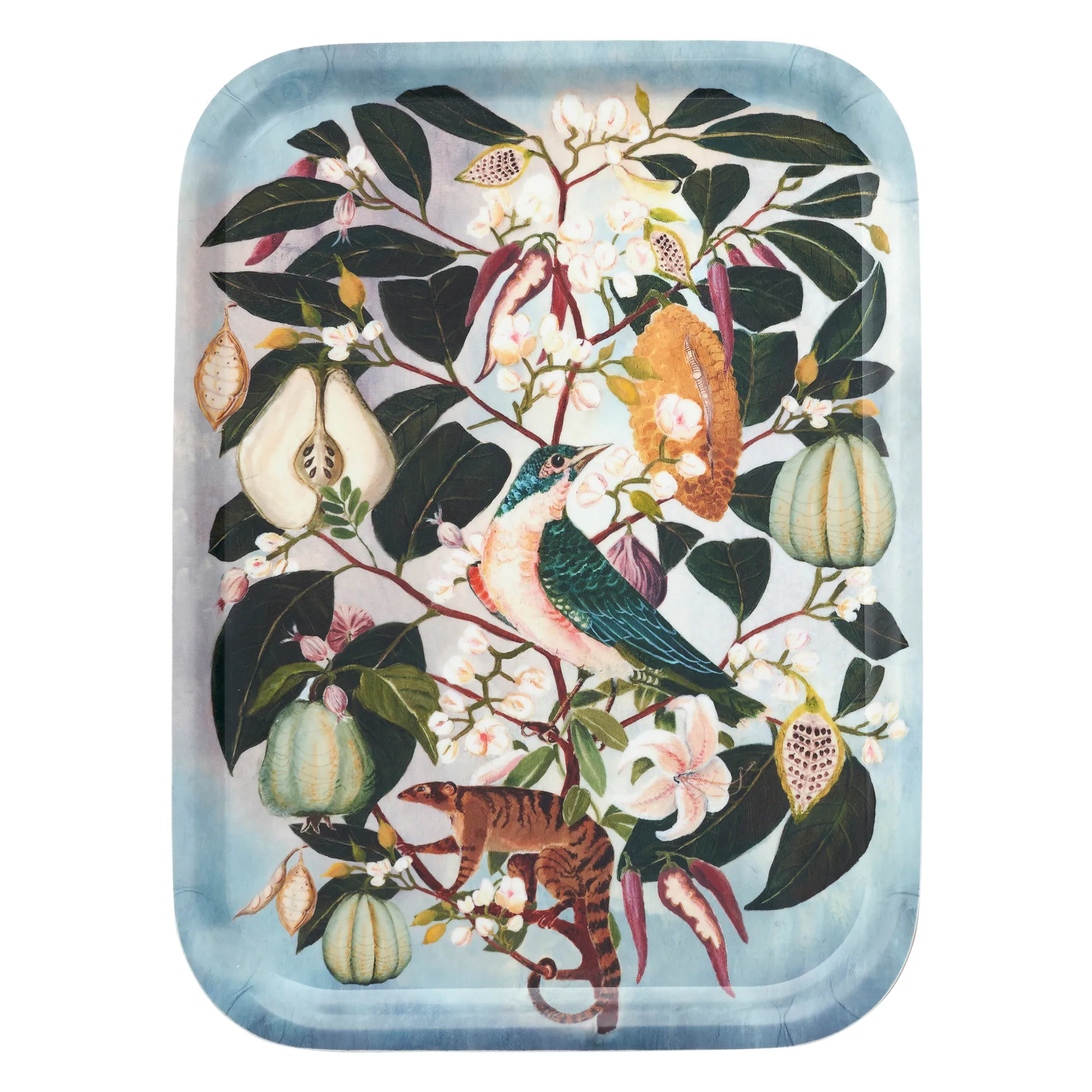 Fruits Tablett 20 x 27cm, Multi Klippan Yllefabrik