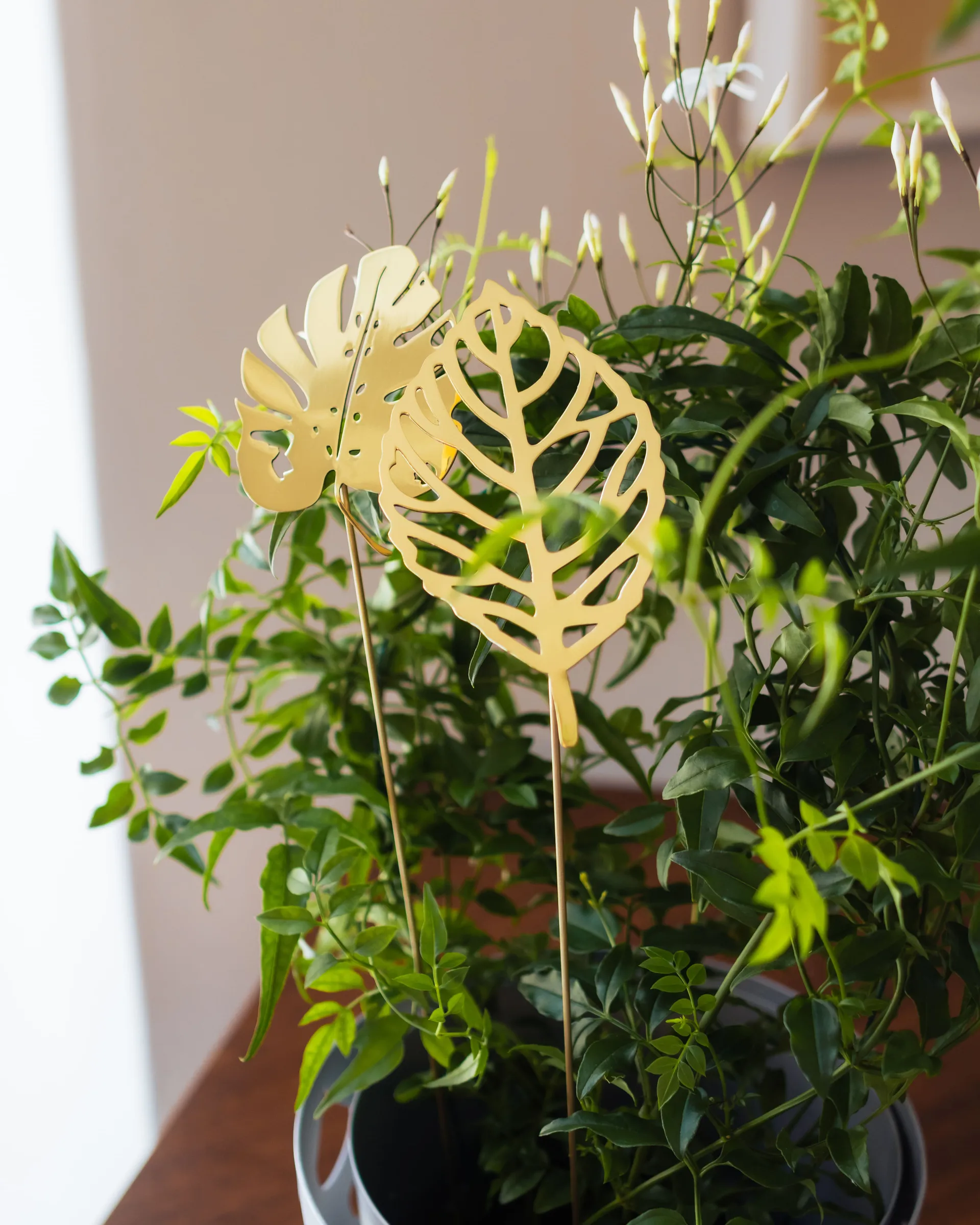 Brass leaves Dekoration 2er-Pack, Wood KLONG