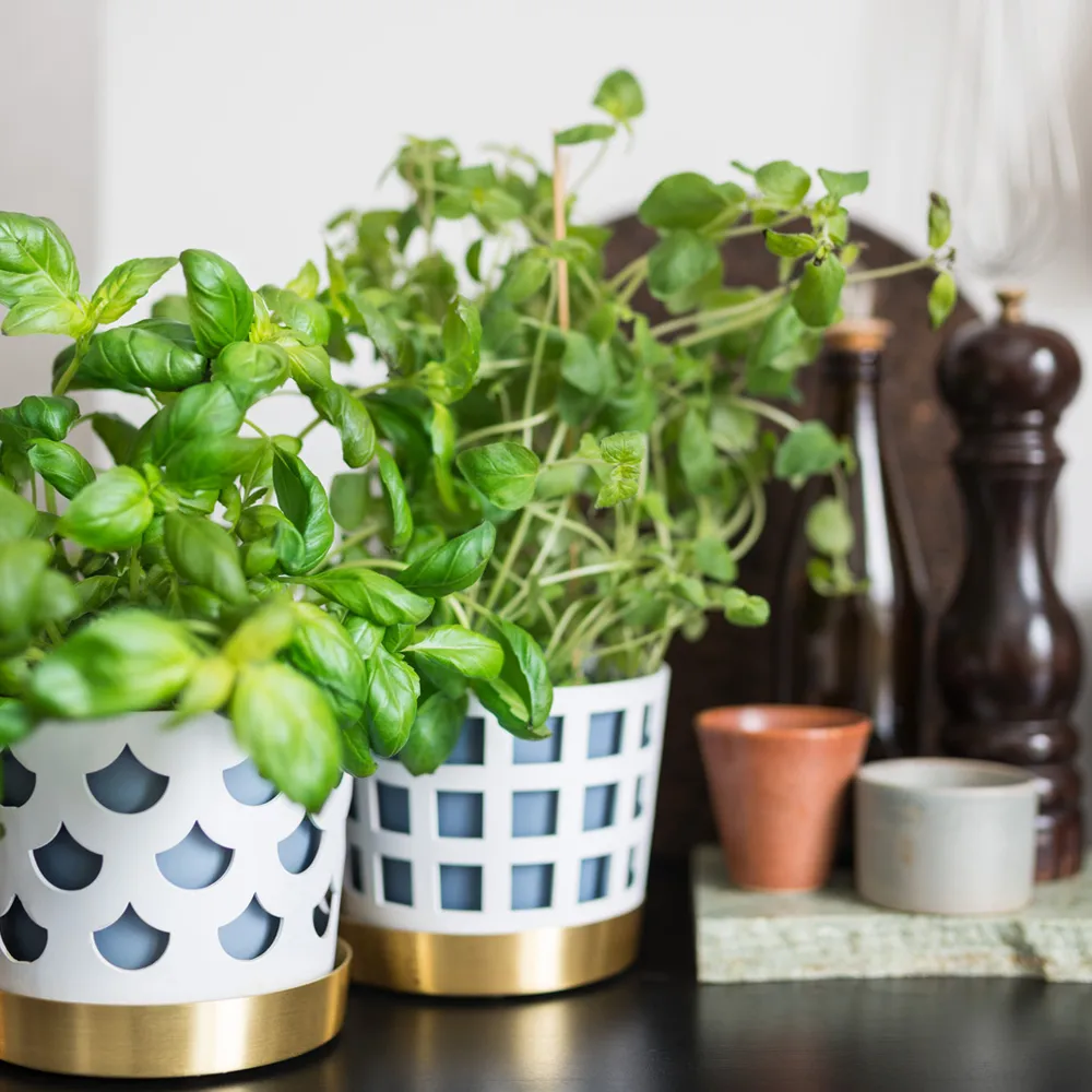 Trio Pot Square Blumentopf, Beige, klein Ø12 cm KLONG