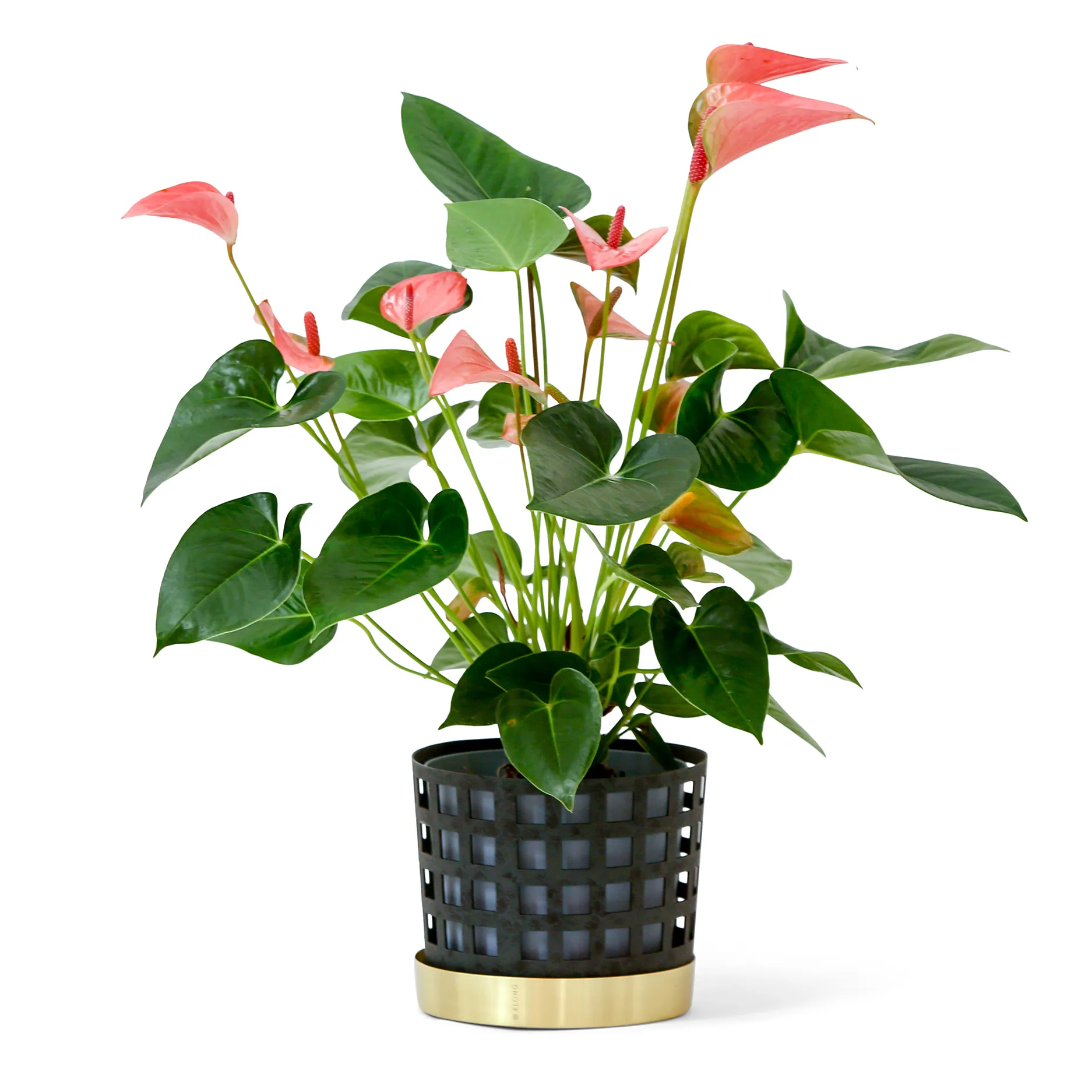 Trio Topf square, mittel, Blau KLONG