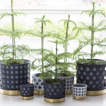 Trio Topf square, mittel - Weiß - KLONG