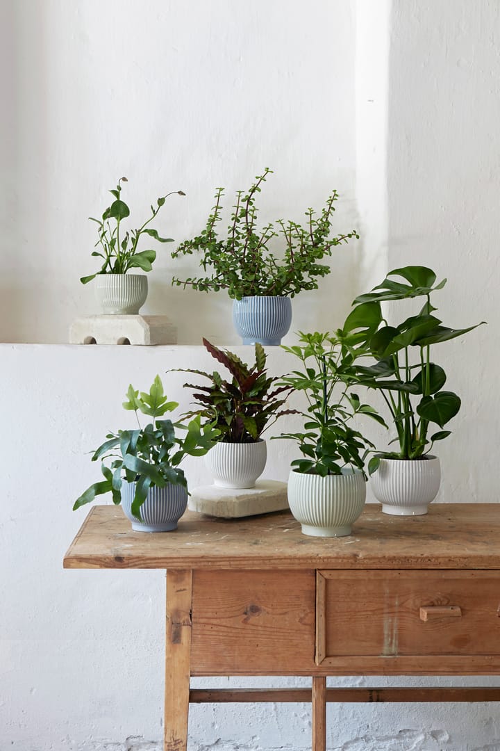Knabstrup Blumentopf gerippt Ø14,5cm, Mintgrün Knabstrup Keramik