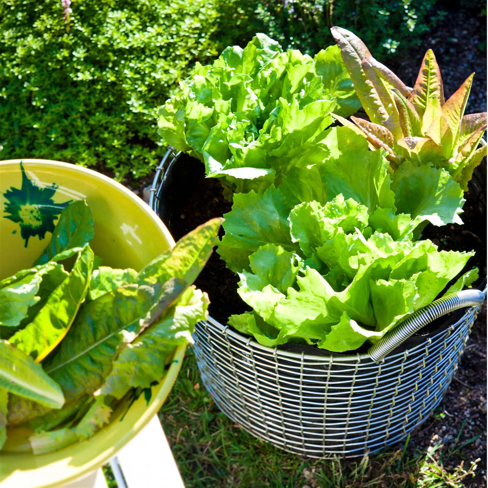 Korbo Bin 24, Verzinkter Stahl KORBO