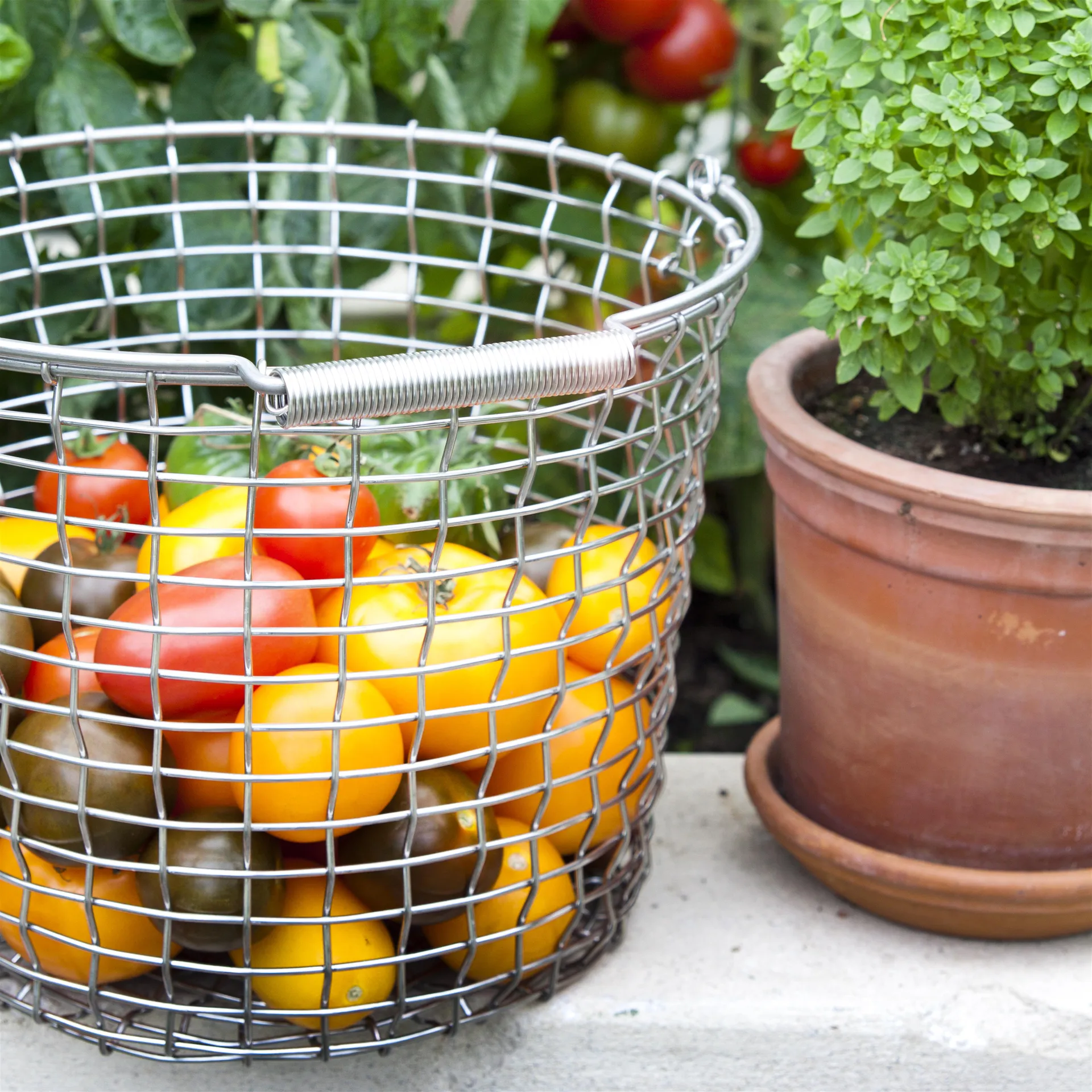 Korbo Bucket 16, Edelstahl KORBO