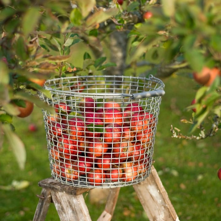 Korbo Bucket 24, Verzinkter Stahl KORBO