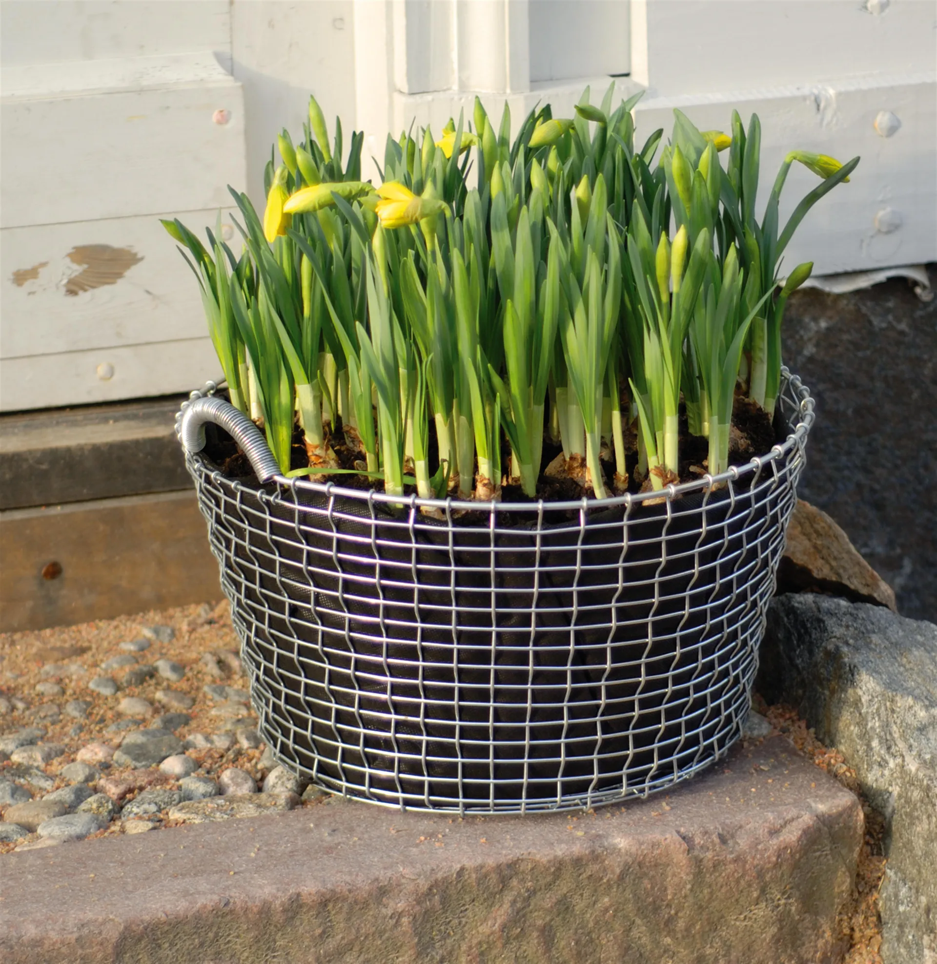 KORBO Kunststoffeinsatz 3er Pack, 24 Liter KORBO