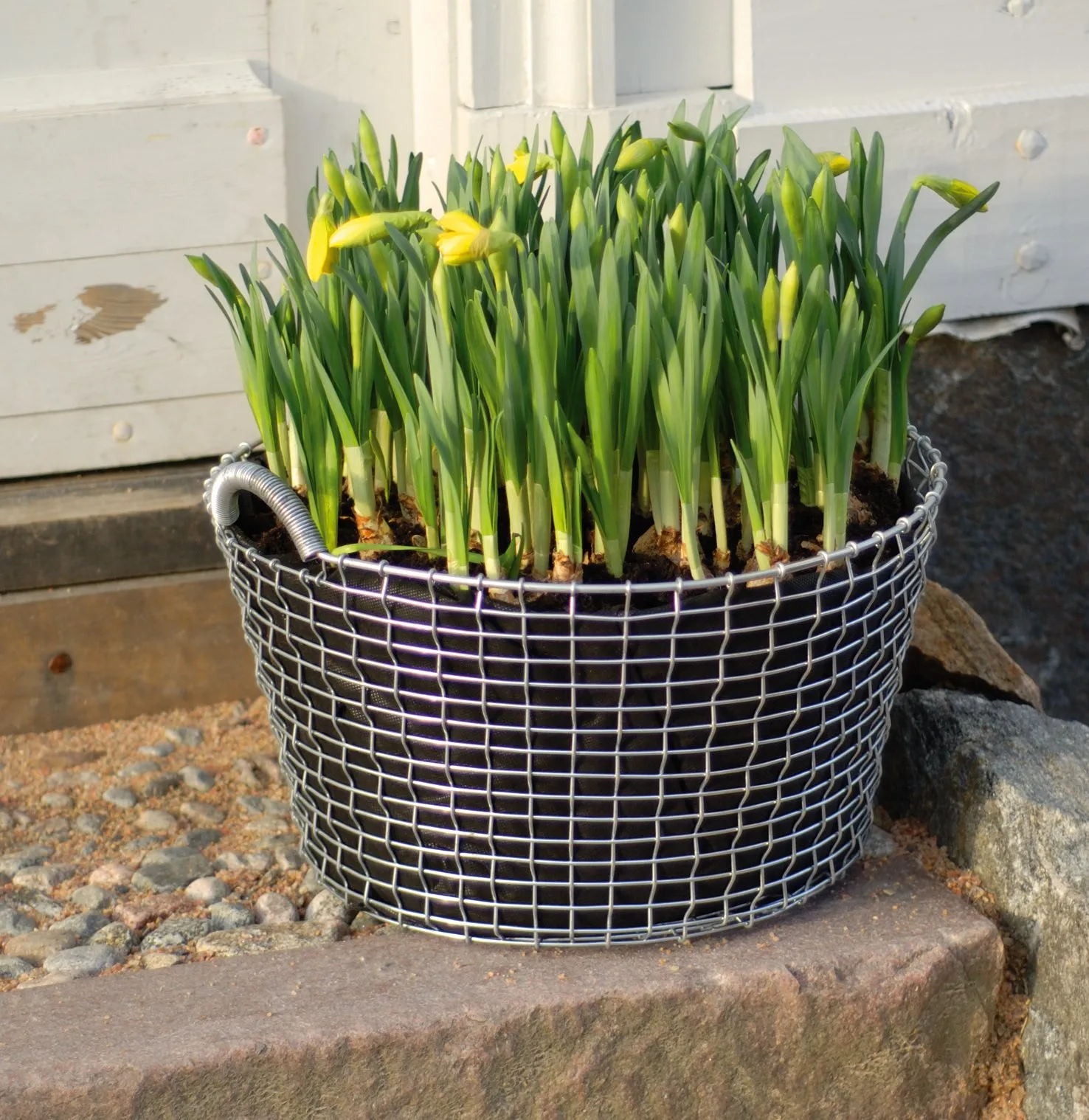 KORBO Kunststoffeinsatz 3er Pack, 35 Liter KORBO