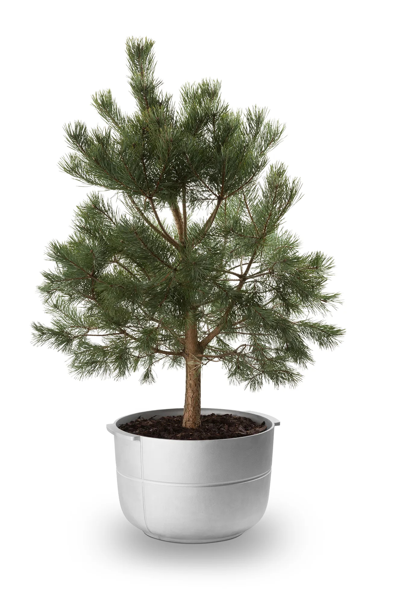 Linea Blumentopf Nr 2 Medium, Aluminium KORBO