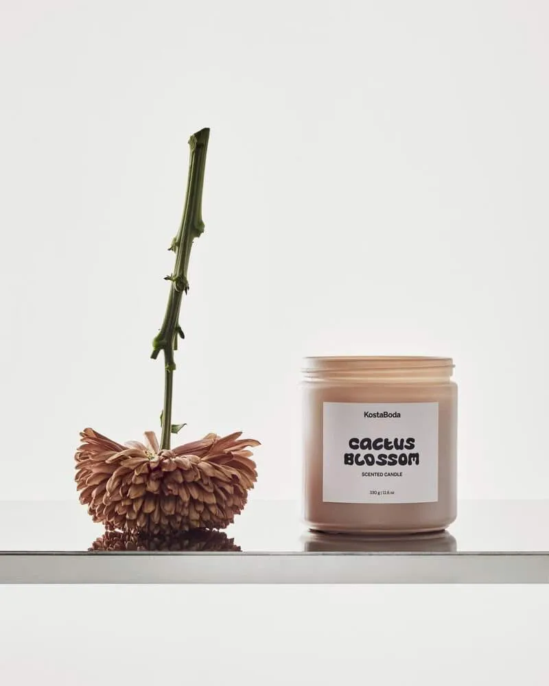 Mind Duftkerze, Cactus Blossom, 330 g Kosta Boda