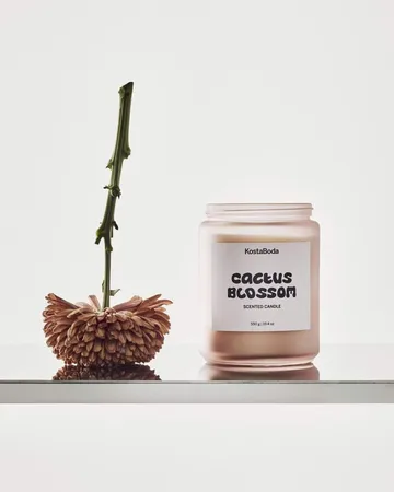 Mind Duftkerze - Cactus Blossom, 550 g - Kosta Boda